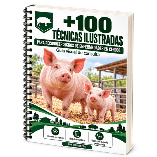 Guía +100 Técnicas Ilustradas para Reconocer Signos de Enfermedades en Cerdos