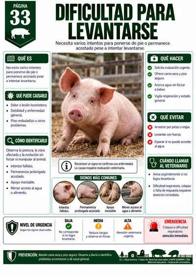 Página 33 — Dificultad para levantarse