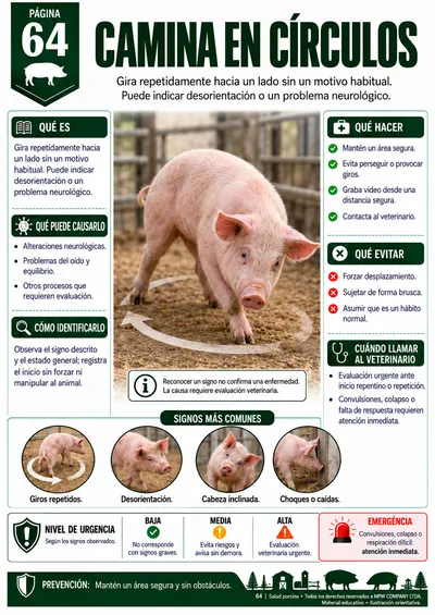 Página 64 — Camina en círculos