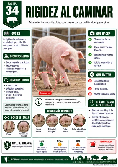 Página 34 — Rigidez al caminar