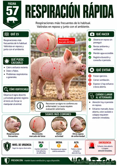 Página 57 — Respiración rápida